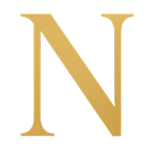 N logo